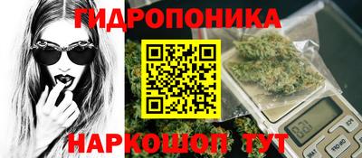 амф Гусь-Хрустальный
