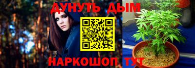 амф Гусь-Хрустальный