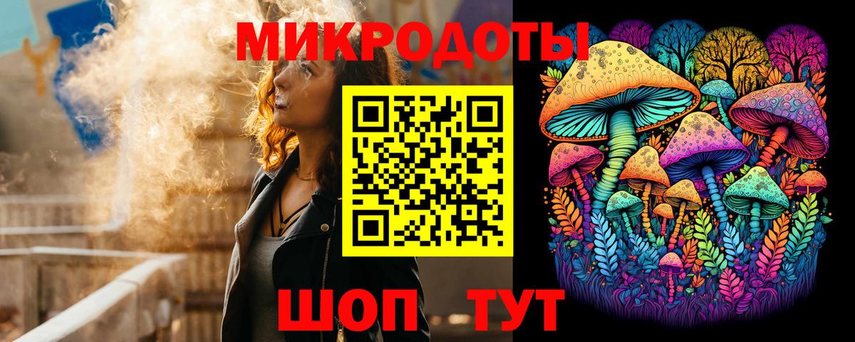 Медногорск  Псилоцибиновые грибы мицелий  Вход с VPN  Псилоцибиновые грибы Psilocybe 