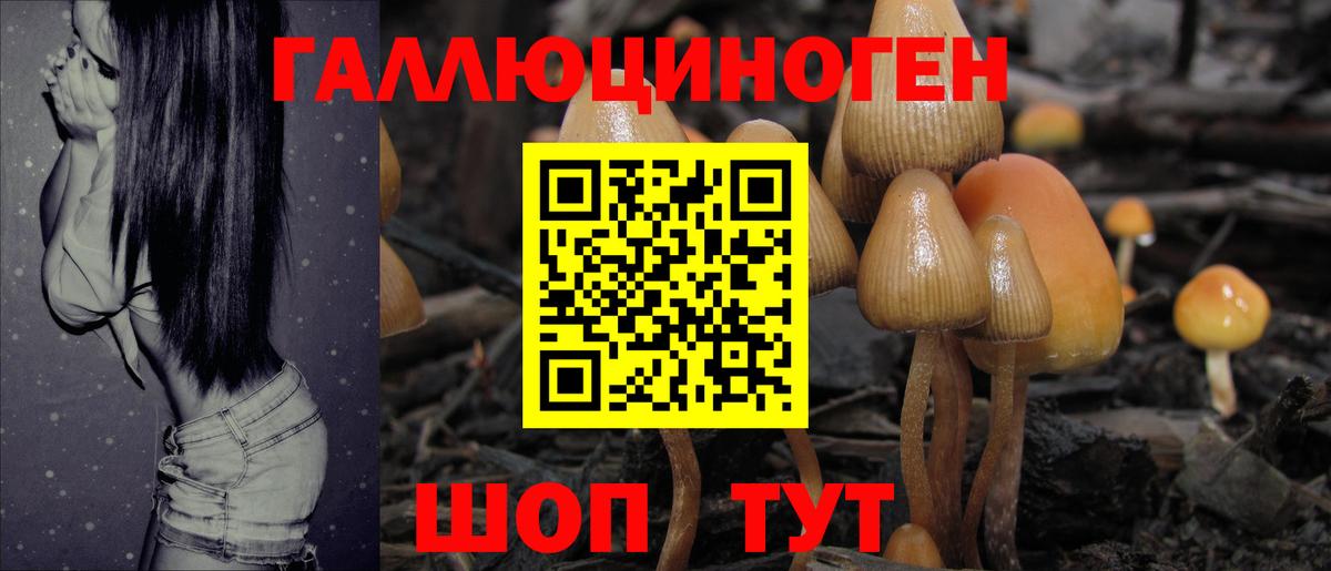 Галлюциногенные грибы GOLDEN TEACHER Медногорск